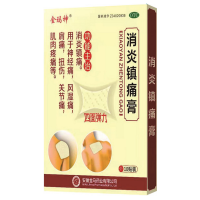 消炎鎮(zhèn)痛膏(項(xiàng)目專(zhuān)供）